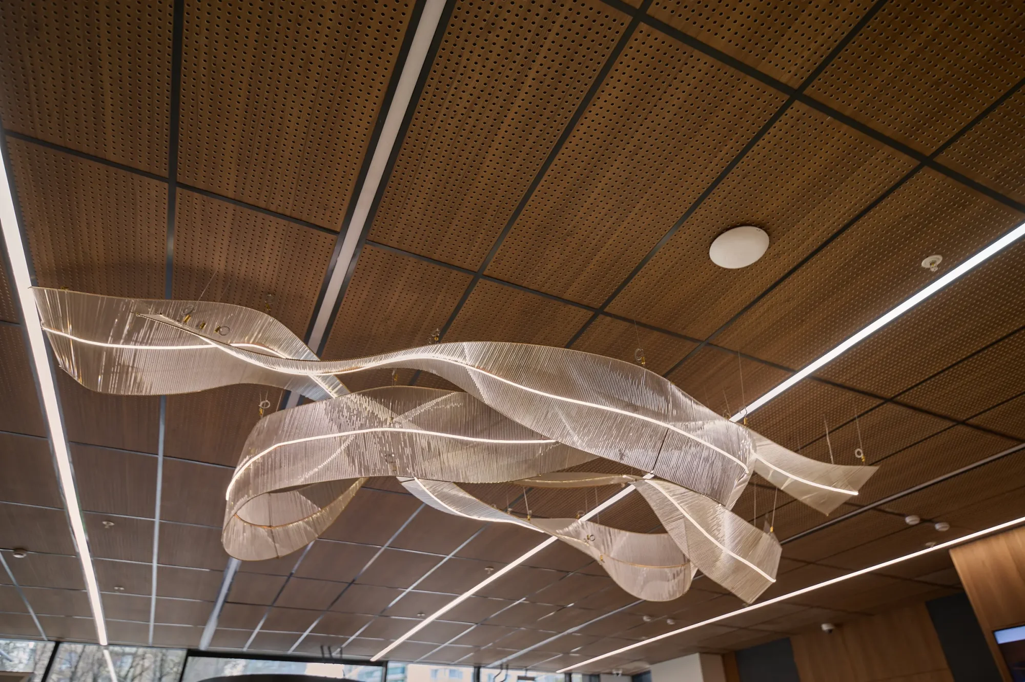 gsh_0165-1