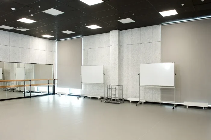 WINAL™ Soundcore W — отделка зала в главном корпусе Москино
