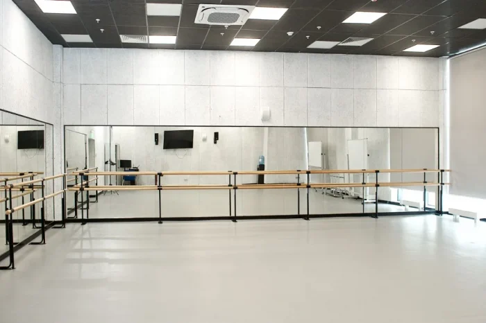 WINAL™ Soundcore W — акустическая отделка студии в Москино