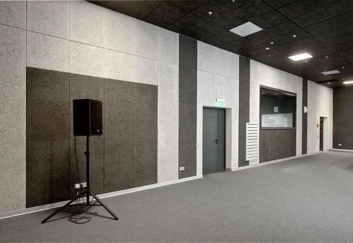 WINAL™ Soundcore W — студийное помещение с акустической отделкой, Москино